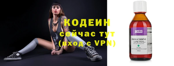 a pvp Абаза