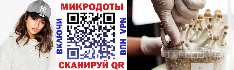 Псилоцибиновые грибы GOLDEN TEACHER Новокузнецк